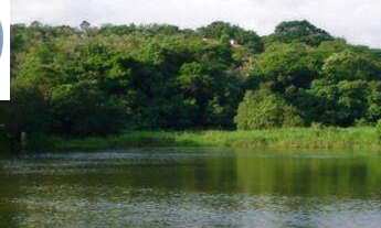 Imagem 2: Terreno residencial à venda, Fazendinha, Granja Viana