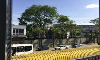 Imagem 4: Porto Alegre - Apartamento Padrão - Floresta