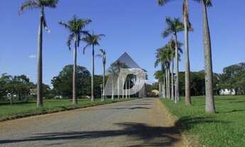 Imagem: Terreno - Vila Hollândia - Campinas