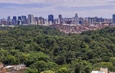 Imagem 2: Apartamento 2 e 3/4 no melhor do Cabula