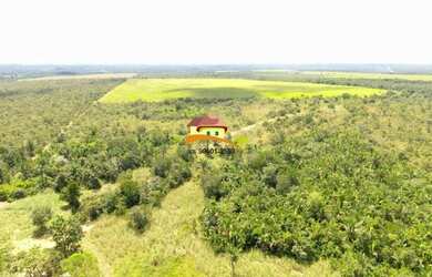 Imagem 4: Fazenda para Venda em Rio dos Bois, Leste