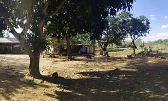 Imagem 5: Chácara de 24.200 m² entre o pedágio e Santa terezinha de itaipu