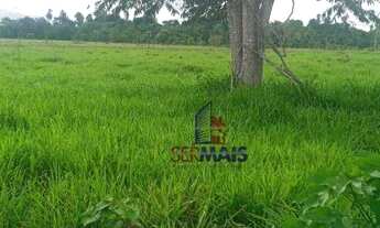 Imagem 4: Sítio com à venda, por R$ 855.000 - Sumaúma - Urupá/RO