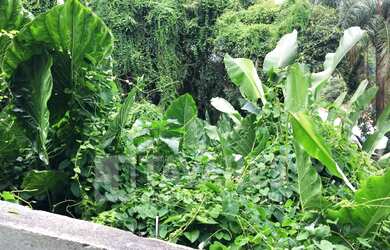 Imagem 3: Terreno em Joá Terreno / lote com venda por R$2.000.000