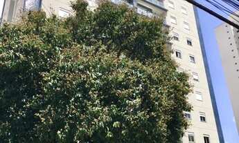 Imagem 3: Apartamento à venda 3 Quartos, 1 Suite, 2 Vagas, 85M², Vila Itapura, Campinas - SP