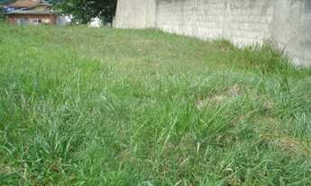 Imagem 4: TE0026 - Lote plano em Camboinhas, próximo ao picolé