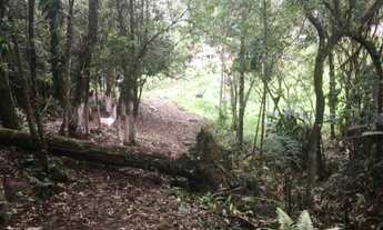 Imagem 4: LINDA CHÁCARA Fazenda / sítio com venda por R$1.000.000