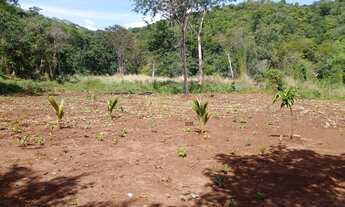 Imagem 2: Sitio Lago Minaçu