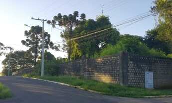 Imagem 4: CANOAS - Padrão - São José