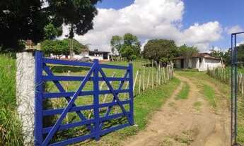 Imagem 3: Vendo terreno com 3 hectares, na BR 101, Igarassu PE