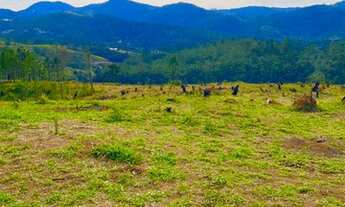Imagem: MD.Lote/Terreno para venda possui 1000 metros