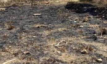 Imagem 2: LOTE A VENDA LOCALIZADO NA CIDADE INDUSTRIAL