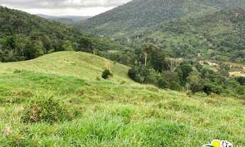 Imagem 6: Fazenda à Venda em Ubaitaba - Pecuária e Cacau no Sul da Bahia