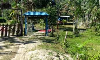 Imagem: Vendo 150 Mil Sítio na Am 010 Km 35 Ramal