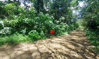 Imagem 3: Excelente terreno plano no Cônego!