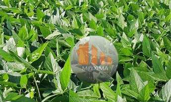 Imagem: Fazenda à venda, 4.000 hectares por R$