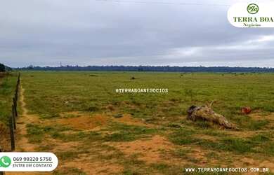 Imagem 3: FAZENDA 285 HECTARES TODA FORMADA EM PASTO