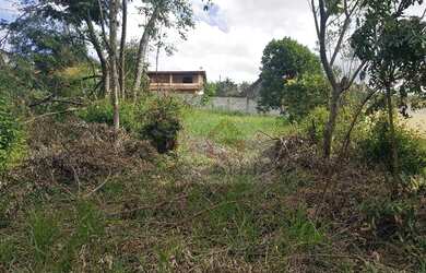 Imagem 4: Terreno pronto para construir