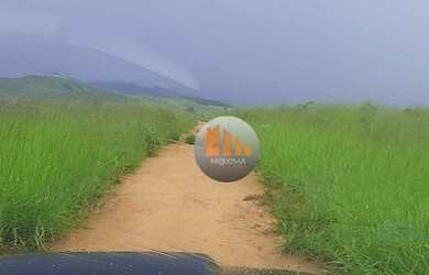 Imagem 7: Fazenda à venda, 340 alqueires por R$ 50.000.000 - Padre Bernardo/GO