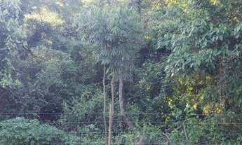 Imagem 3: Área à venda, 9800 m² por R$ 1.100.000,00 - Ribeirão dos Porcos - Atibaia/SP