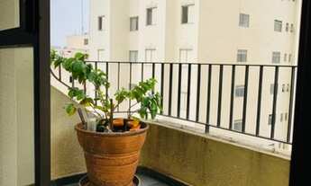 Imagem 4: São Paulo - Apartamento Padrão - Moema