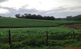 Imagem 5: Fazenda completa em São José dos Pinhais, Agro-indústria em São José dos Pinhais, Área rur