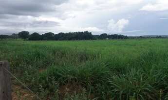 Imagem 4: Fazenda - Pau D'arco (TO