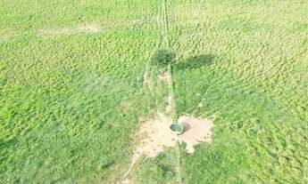 Imagem 7: Fazenda - Cristalina (GO