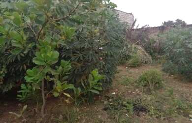 Imagem 3: Casa para venda possui 230 metros quadrados com 2 quartos