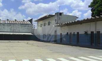 Imagem 6: Barracão - Amarais - Campinas