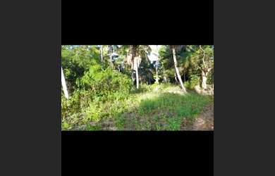 Imagem 3: Lote/Terreno para venda tem 2000M² - Mata de São João - BA a 11km de Praia do Forte