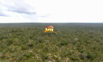 Imagem 4: Fazenda para Venda em Luzinópolis, Vale do Araguaia