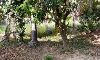 Imagem 2: Lote para comprar Tremembé São Paulo