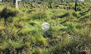 Imagem: Ariquemes - Sítio - 18 Alqueires