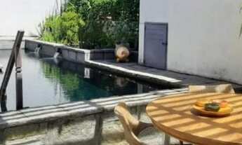 Imagem: CASA TERESÓPOLIS CARLOS GUINLE