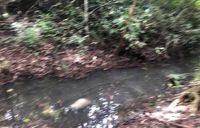 Imagem 2: Fazenda para Venda em Cristianópolis, Zona Rural