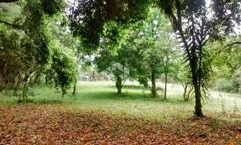 Imagem 3: GRAVATAí - Terreno Padrão - Morungava