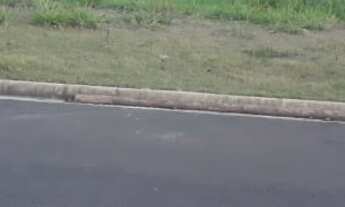 Imagem 1: Vendo um terreno no condomínio Reserva Central Park em Salto/SP