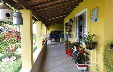 Imagem 3: Sítio - Paiol de Telha - Mogi Mirim