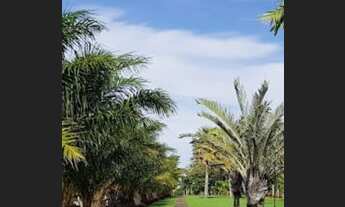 Imagem 6: Lote Venda Alphaville Parnamirim Dois Lotes 450 m