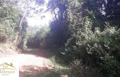 Imagem 6: Área de terra em Nova Petrópolis , bairro Nova Harmonia Ref.:791