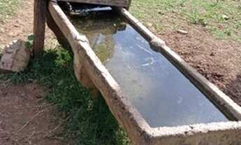 Imagem 4: Fazenda porteira fechada Formosa Goiás Beserra