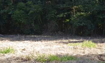 Imagem 6: Terreno Portal da Figueira