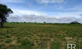 Imagem 4: Fazenda à venda, 2.534 hectares por R$ 20.000.000 - Norte de Minas
