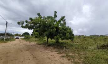 Imagem 2: Terreno Cabeça de quadra com 3 frentes em PIUM seguro, bem localizado e bem arborizado