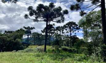 Imagem 7: Chácara em Urubici