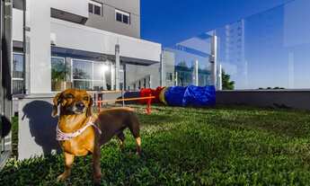 Imagem 7: CAXIAS DO SUL - Apartamento Padrão - PANAZZOLO