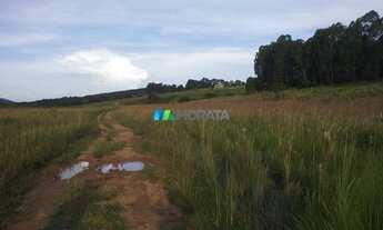 Imagem 6: OLIVEIRA - Fazenda - Zona Rural