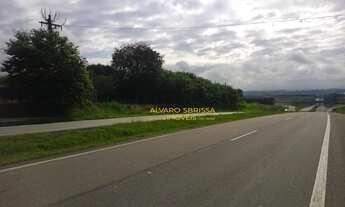 Imagem 6: Área em zona industrial ZUPI-1 com 115.119 m², documentação perfeita, georeferenciada, boa