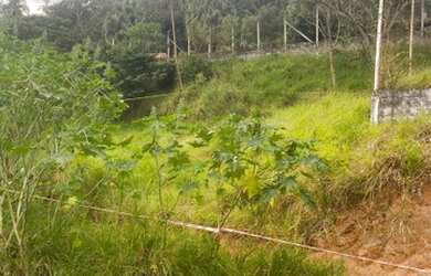 Imagem 6: Lote de aproximadamente 7000 metros